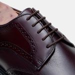 Sapato Derby CNS+ Brogue Lan 11 Açaí