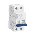 DISJUNTOR DIN BIP 2A MDWP WEG 