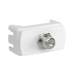 MODULO TOMADA ANTENA DE TV BRANCO MILUZ