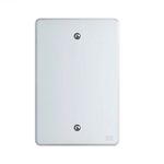 PLACA 4X2 - CEGA BRANCO EQUILE