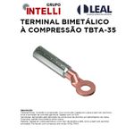 TERMINAL A COMPRESSAO 10MM TM-10-5 INTELLI