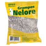 GRAMPO POLIDO AROEIRA BWG 09X1 1KG MORLAN (1500)