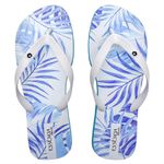 Chinelo Masculino Confortável Slim 1001 Moderno Essencia Brasil