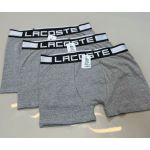 Cueca Boxer Lcst - Cinza