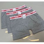 Cueca Boxer Bss - Cinza