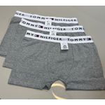 Cueca Boxer Th - Cinza
