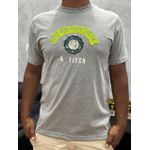 Camiseta Premium Abercombrie Cinza
