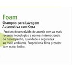 Shampoo Lava Autos 1L TALCO - GALCO SKY-FOAM