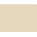 Porcelanato Delta Valencia Luxor 63x63Cm Acetinado Retificado