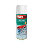 SPRAY P/ PLASTICO BRANCO FOSCO COLORGIN