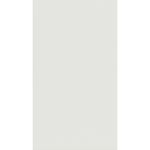 REVEST 30X54 DIAMANTE BRANCO BR RT PORTO FERREIRA