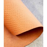Placa Redonda 80x80cm - Snake Ponkan - Esp. 14/16