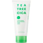 NATURE REPUBLIC OFFICIAL Green Dermatty Tree CICA Big Cleansing Foam - 300 g