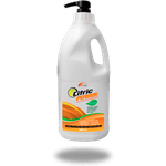 SABONETE LIQUIDO DESENGRAXANTE PROF CITRIC POWER COM ESFOLIANTE 2L