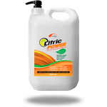 SABONETE LIQUIDO DESENGRAXANTE ECO CITRIC POWER COM ESFOLIANTE 4LT