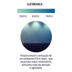 Lâmpada LED Tramontina Bulbo E27 12W Bivolt 6500K Luz BR
