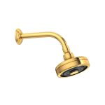 Chuveiro Deca Acqua Plus STANDARD GOLD 1990.GL.STD 