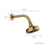 Chuveiro Deca Acqua Plus STANDARD GOLD 1990.GL.STD 