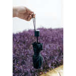 Guarda Chuva Sombrinha Basic Preta Mor