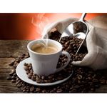 Café Em Grãos Torrados Selecionado 1kg Senhor Café Gourmet 100% Arabica Torra Média