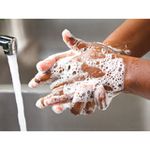 Mini Sabonete Naturys Fragrância Erva Doce Em Barra 13g Kits De 500, 250, 166 e 125 Unidades