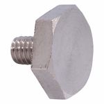 Parafuso Central da Porta da Autoclave Sercon