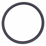 Anel de Vedação Cinza para Autoclave Cristófoli Vt 12l