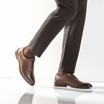 Sapato Social Oxford Wholecut Pompeo Tabaco