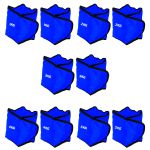 Kit Par de Caneleira Peso Profissional do 1kg ao 5kg Funcional Peso Azul
