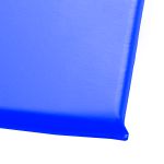 Kit 10 Colchonete de Gisnatica Espuma para Treino Abdominal Exercicio Fitness Abdominal Yoga Pilates Azul