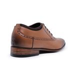 Sapato Social Masculino Oxford Brogue Scott Paulo Vieira - 522/1102 - Caramelo