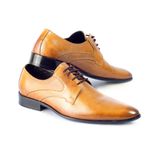 Sapato Social Masculino - Executivo Premium - Reta Oposta - 914 - Whisky