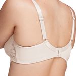 SUTIA ANATOMICO RENDADO BASE