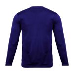 Camiseta Dryfit Manga Longa Básica Lisa Azul 