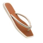 Chinelo Feminino com Strass Branco Prata