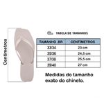 Chinelo Feminino com Strass Nude