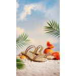 Rasteira Dourada/Colors Ste