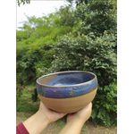 Bowl Grande