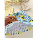 Conjunto Lorena Azul
