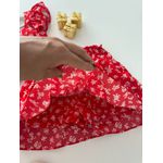 Conjunto Leticia Vermelho