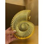 CLUTCH CARACOL DOURADA LISA