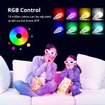 Lâmpada Led RGB Colorida Com Controle 9w Bivolt