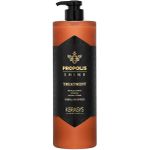Kerasys Propolis Energy Plus Treatment – Tratamento de Brilho e Nutrição Intensa