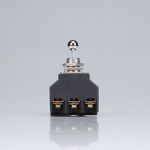 Chave Alavanca Tripolar MARGIRIUS CS-301MP 30A