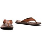 Chinelo Masculino Whisky Elite Country