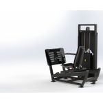 Leg Press 180°
