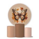 Kit Painel Cilindro Tema Borboletas 11