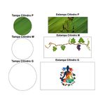 Trio Capas + Painéis Casado Veste Fácil Espiritismo