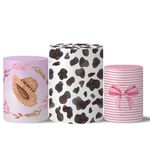 Trio Capas + Painéis Casado Veste Fácil Fazendinha 11