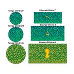 Trio de Capas de Cilindros Veste Fácil C/ Elástico Tema Brasil 4
